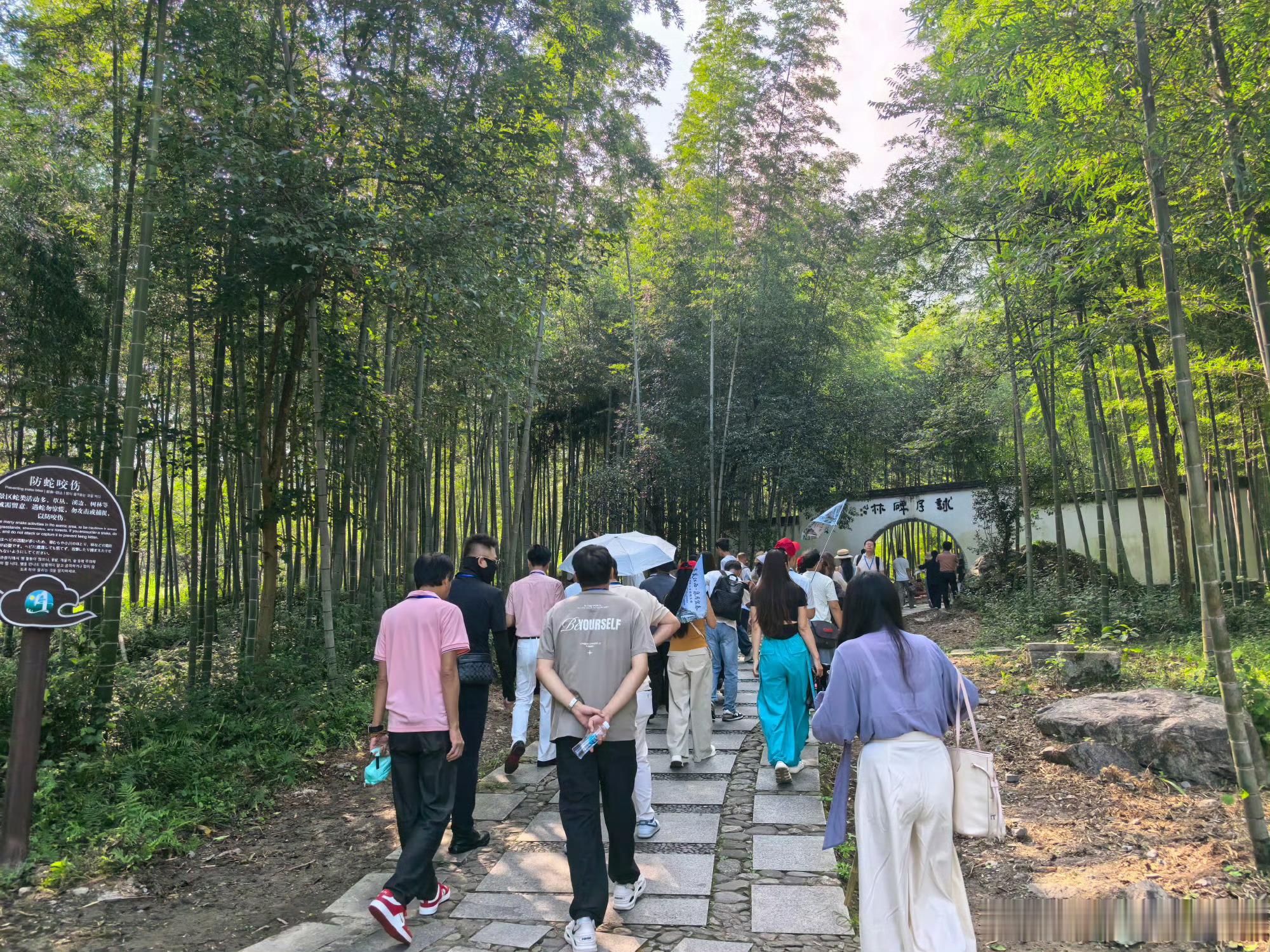 【爱我就带我去江西明月山】同城热点创作计划山揽云海，月落人间🌙赴月亮之都宜春，奔赴明月山。漫步青云