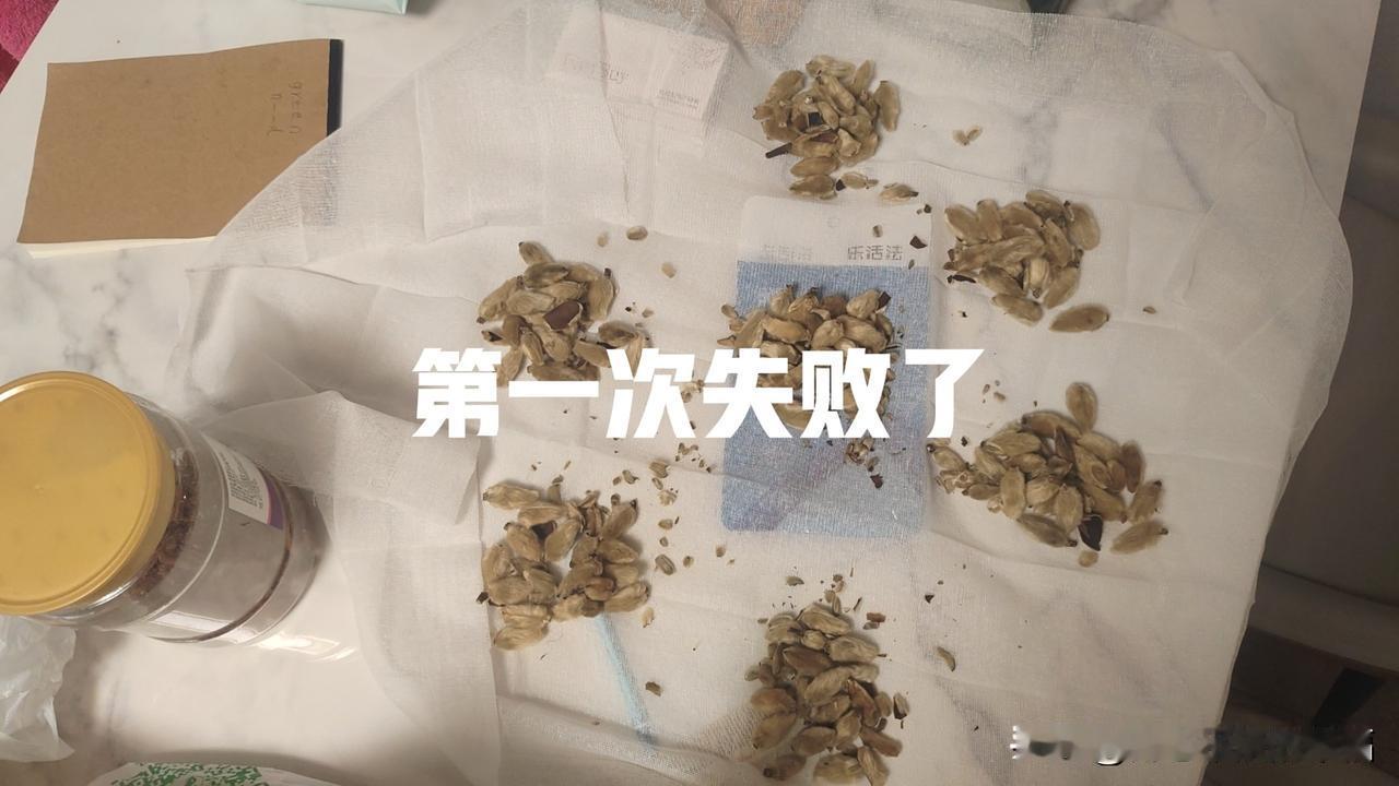第一次失败了其实我的内心是想着方便的，花点钱让医院煎好在寄过来，我能