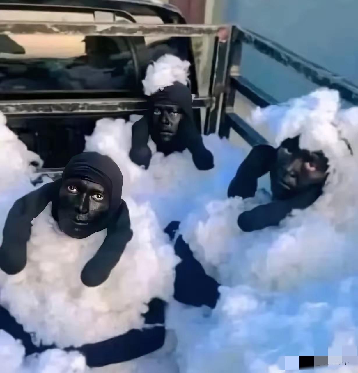 见过伪装成货物偷渡的，没见过把自己裹成绵羊混羊群的！这操作真让人哭笑不得。