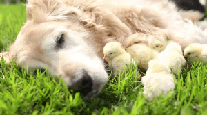 过年带相机回家最有意义的时刻带相机回家，最有意义的是定格爸妈在厨房忙碌的身影，