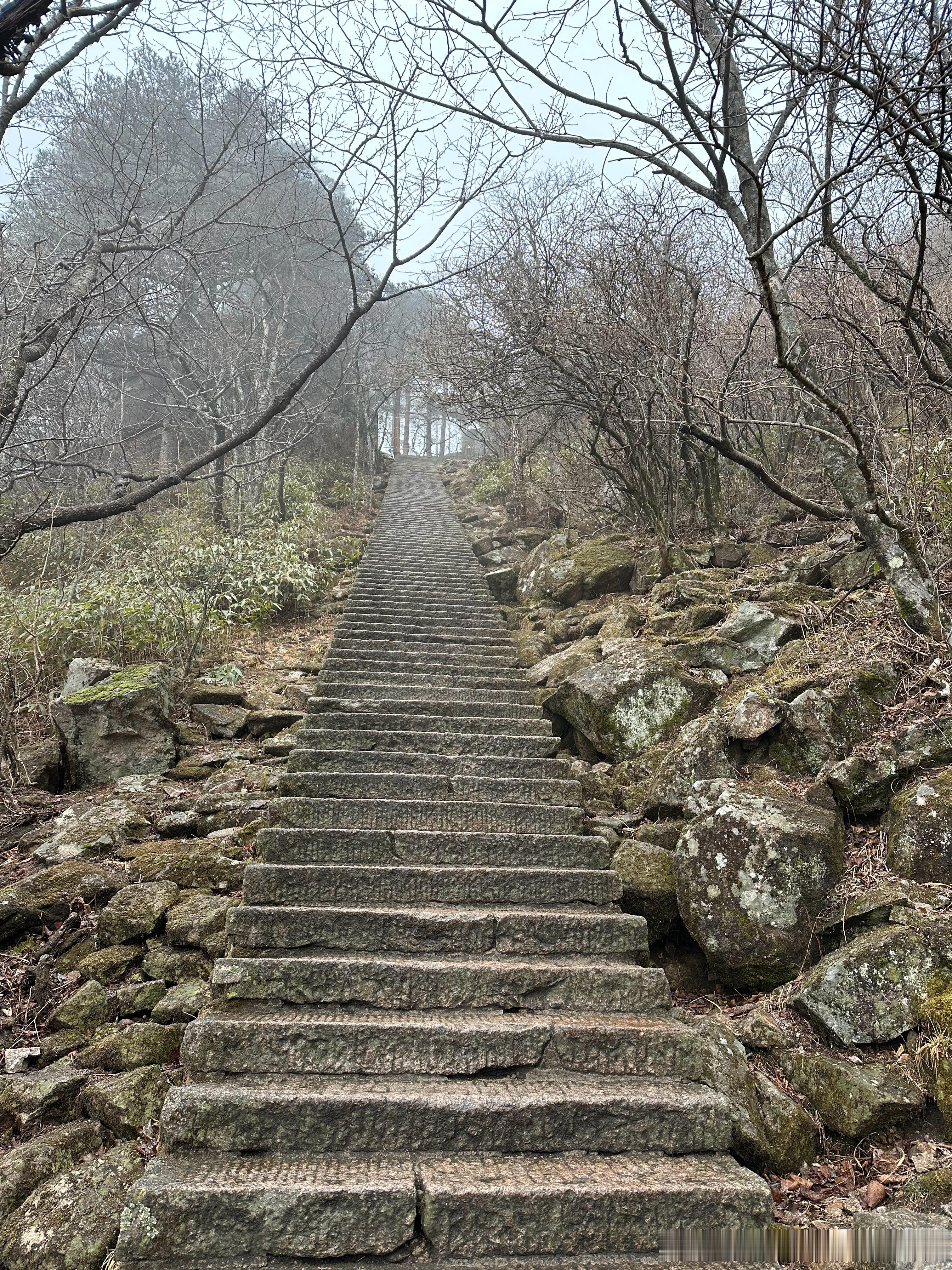 打卡宁波网友投稿：来自老年人的倔强，小小黄山⛰️⛰️5小时10.5公里105