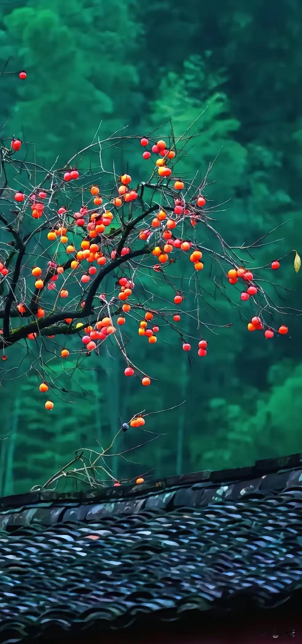 提醒大家，明天是个重要的日子：明天，4月20日，是二十四节气之一——谷雨今