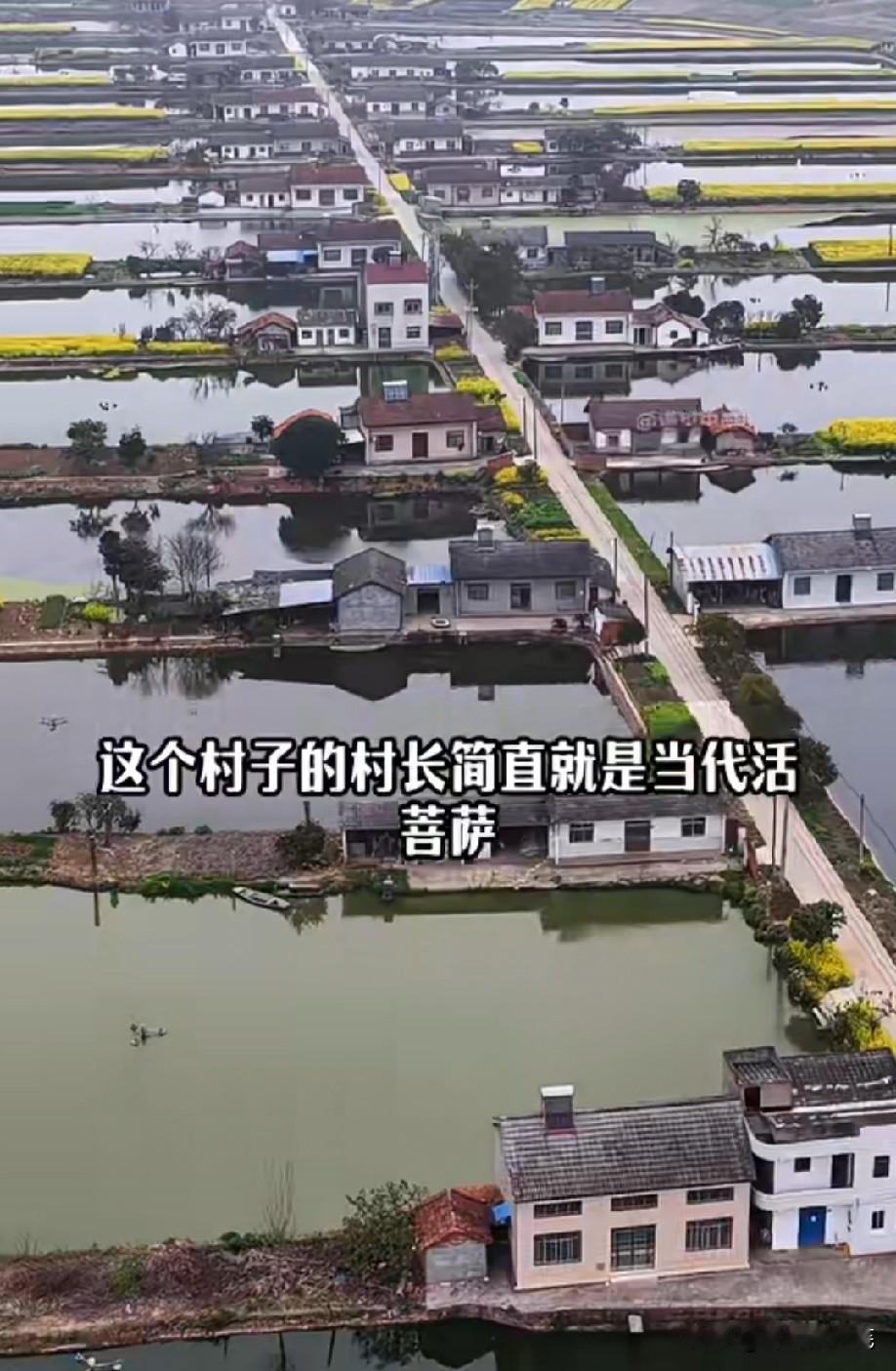 这个村子确实是养老的好地方[赞]