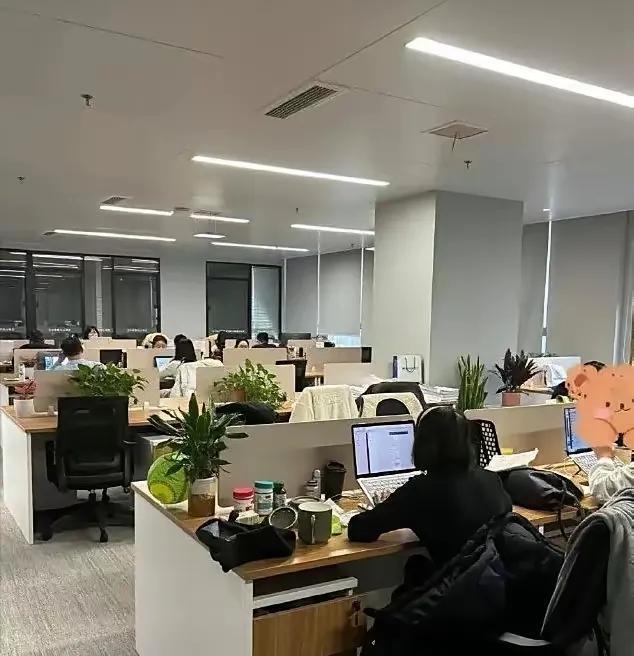 现在的年轻人确实不好糊弄。周一早上，部门主管对着95后程序员说：