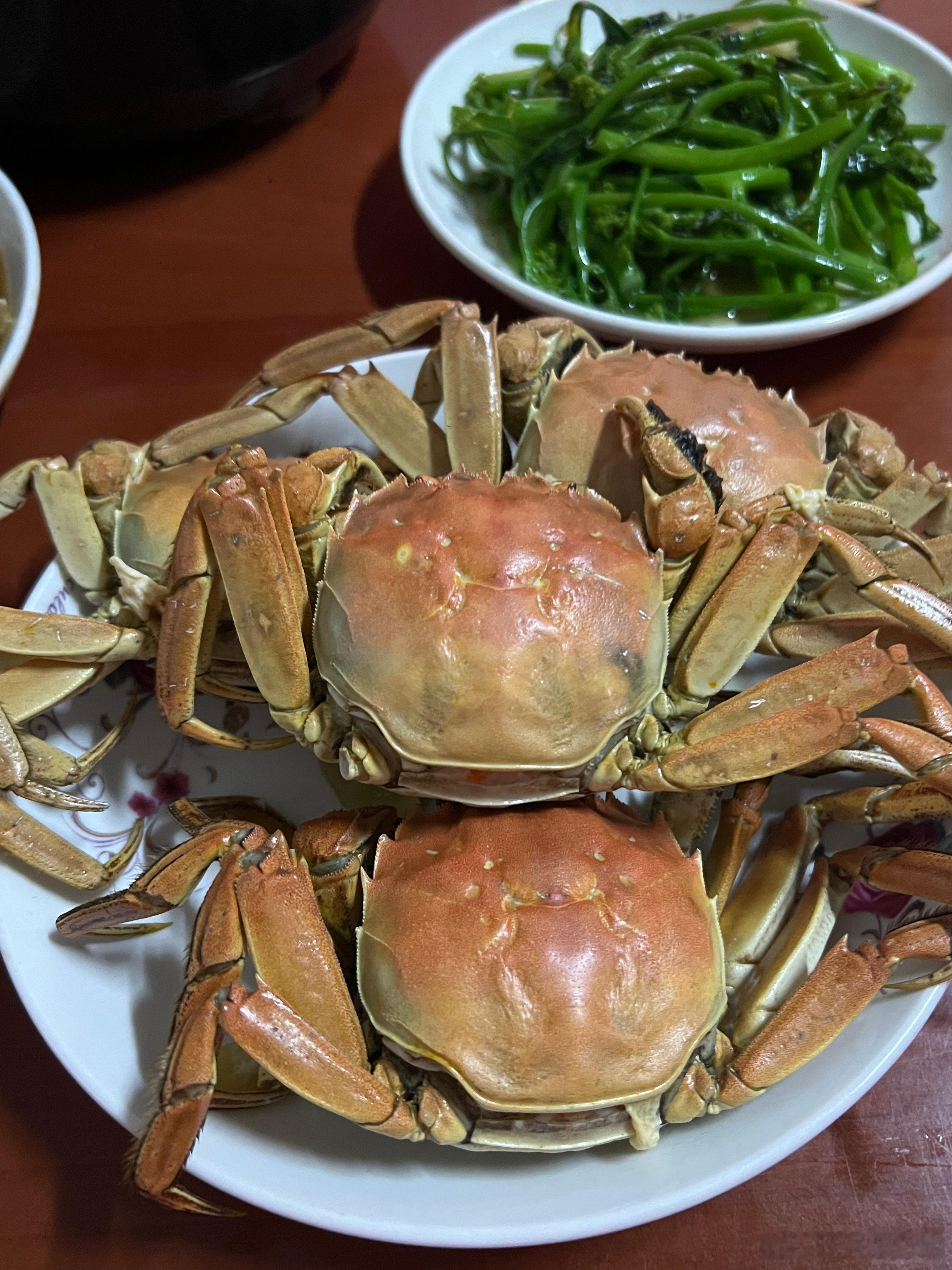 晚餐大闸蟹，红烧鱼头，清蒸车螺，菜干鸡脚猪骨汤