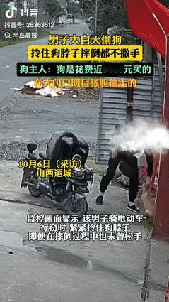“胆大的没边了！”10月6日山西运城，一小伙花近3000元买了只小狗，谁料，小狗
