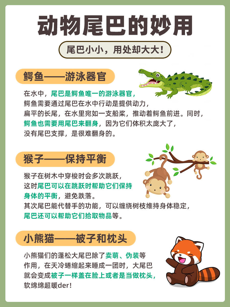 动物尾巴的妙用，这些动物尾巴的用途你都知道吗？尾巴小小，用处却很大！今天就带大家