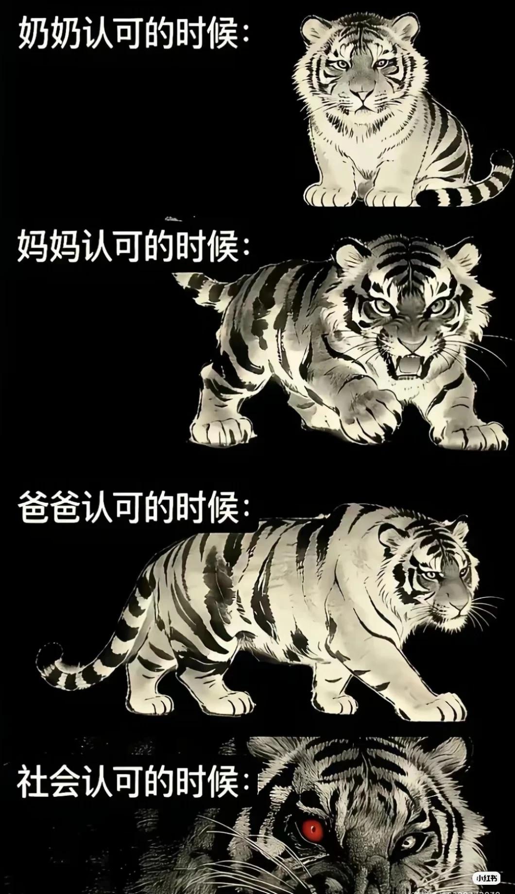 那如果是自己认可的时候呢梗图图片仅供娱乐老虎