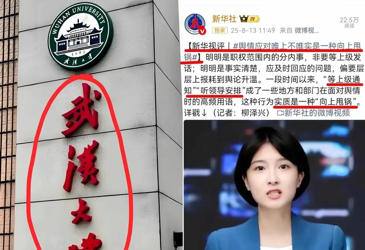 法院判了清白，处分还在学生档案里那行字，像钉子一样拔不掉去年12月，武汉中院