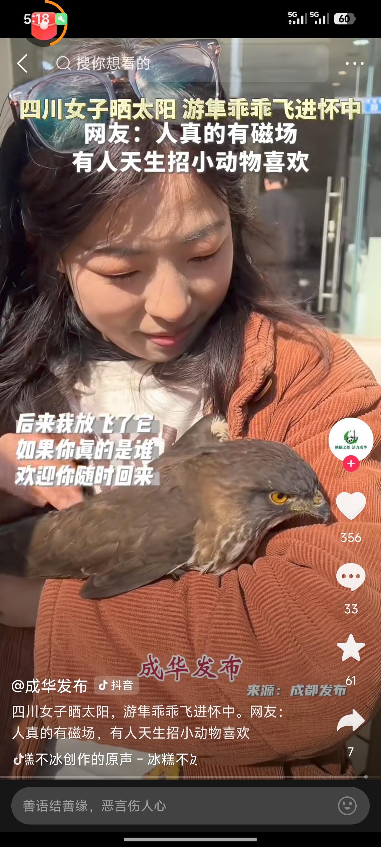 如果老鹰能驯化成为人类的工具，为防止飞机碰撞，把它放在飞机场驱赶鸟群，效果是最好