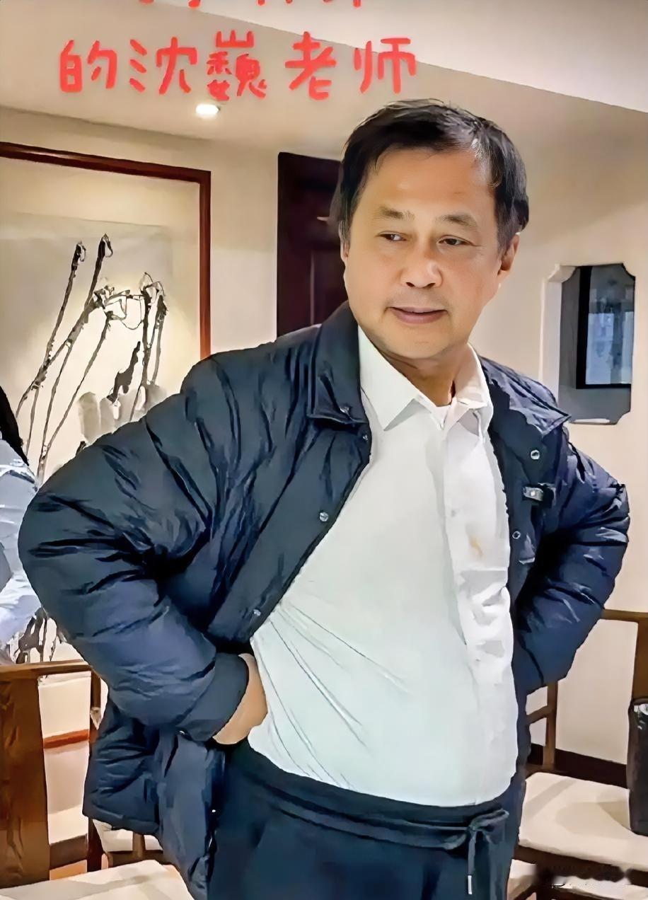 沈巍是奇才大才，实力被大众严重低估了。第一，肚子里是真有货。别看他成天蹲马路