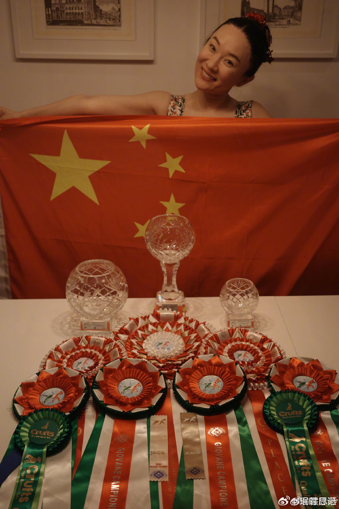 霍思燕的小狗又夺冠啦，才发现姐姐每次穿得都是不同的旗袍，宣传传统文化很棒啊