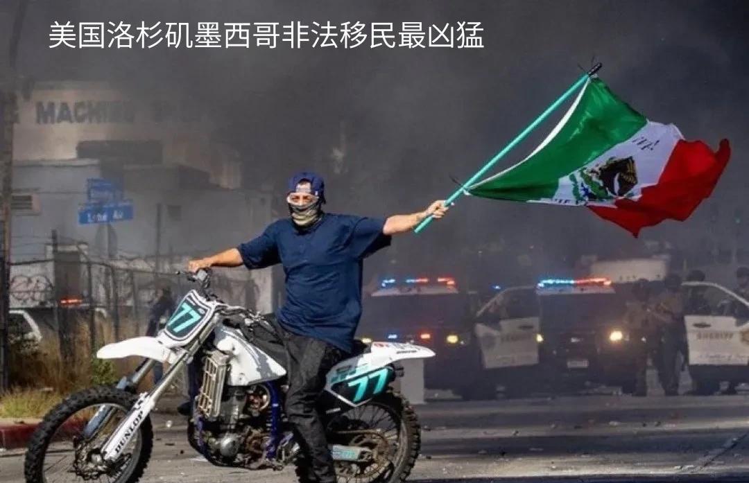 搞得洛杉矶很多地方到处都是“美丽的风景线”。这也成为了美国共和党抨击美国民主党