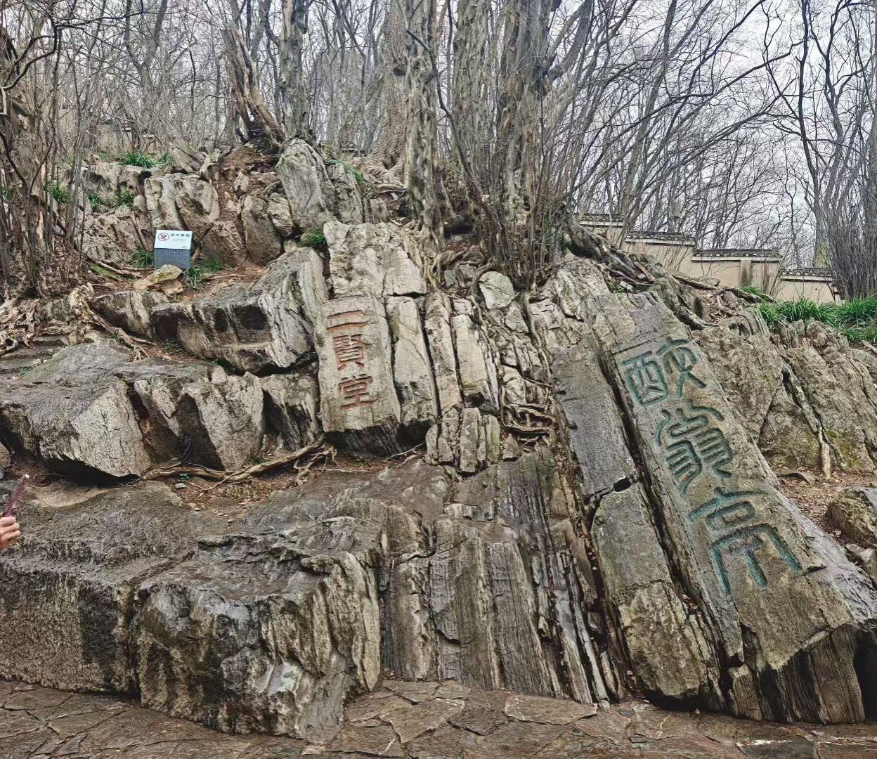 石刻把古意嵌进石纹，枯树的根须缠着光阴，每道裂痕都在替岁月诉说故事。🍂山石