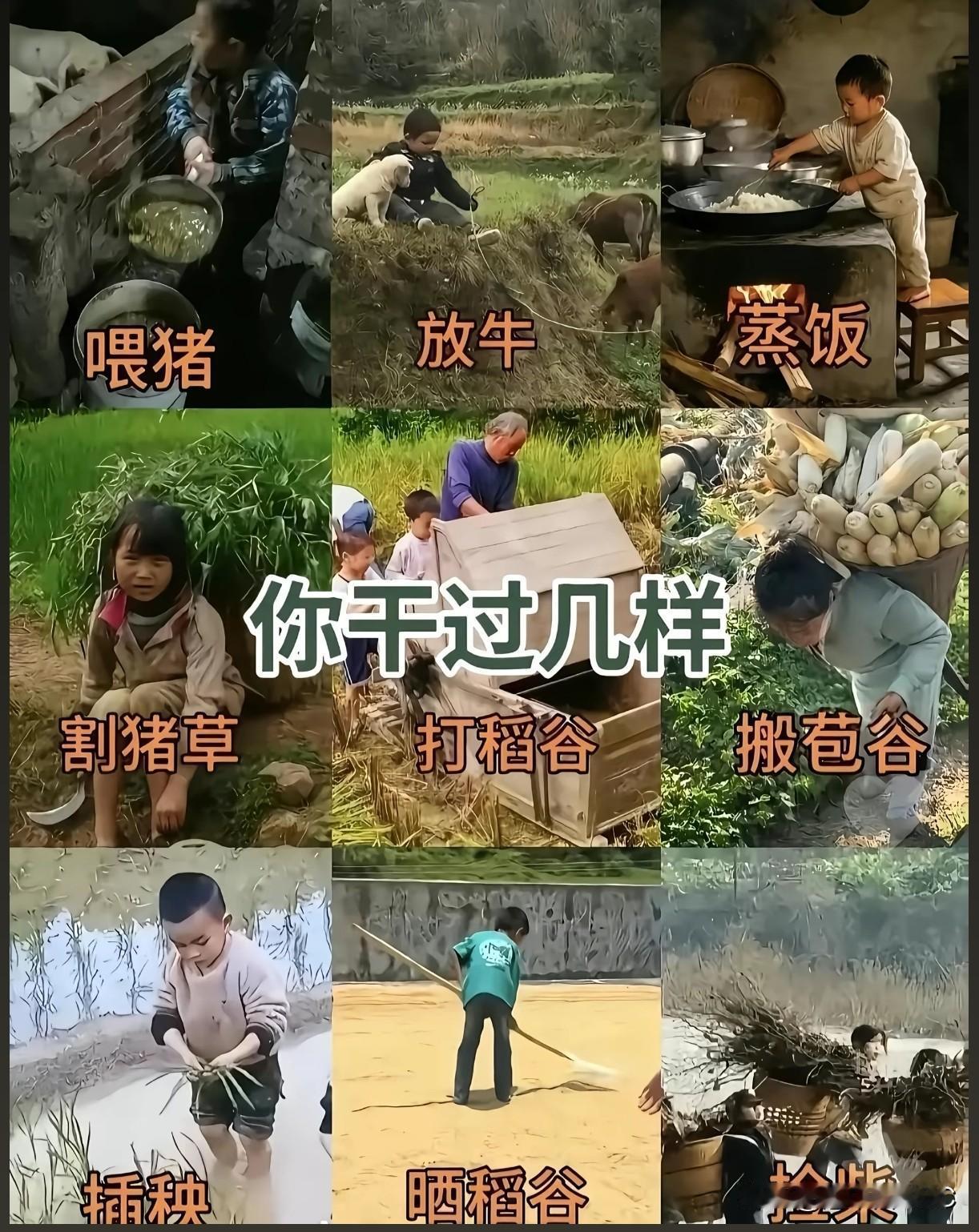 喂猪、放牛、插秧……这9张图，是八九十年代农村孩子的"简历"。一张九宫格在家