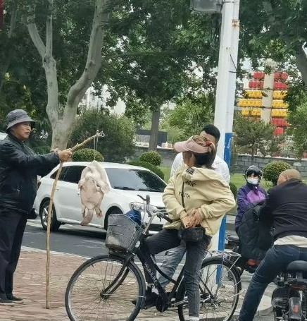 这么大的，干什么呢?？？？