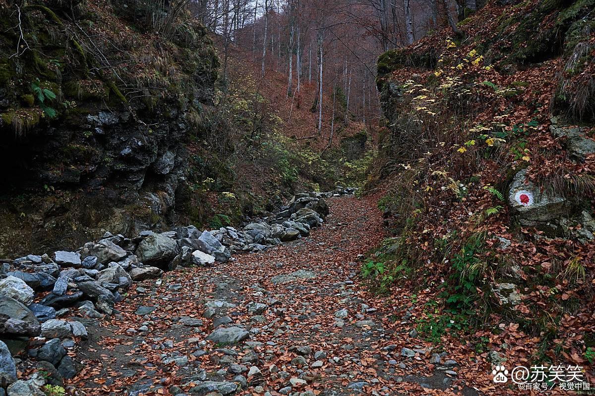 本地人私藏固原，山间小径，六盘山清幽小众徒步路线真不是吹，这条线是我蹲了三个