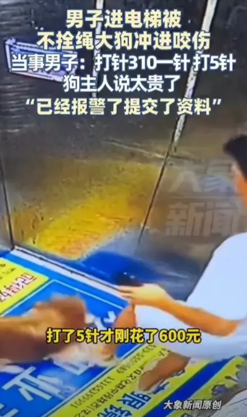 “太贵了，你爱咋地咋地吧！”8月4日，山东临沂的男子在上电梯时，被一条没有拴绳的