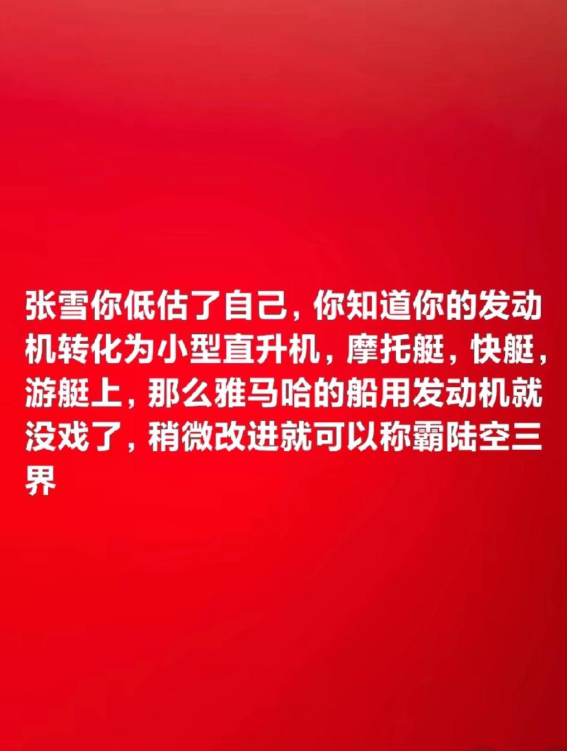 张雪你低估了自己，你知道你的发动机转化为小型直升机，摩托艇，快艇，游艇上，稍微改