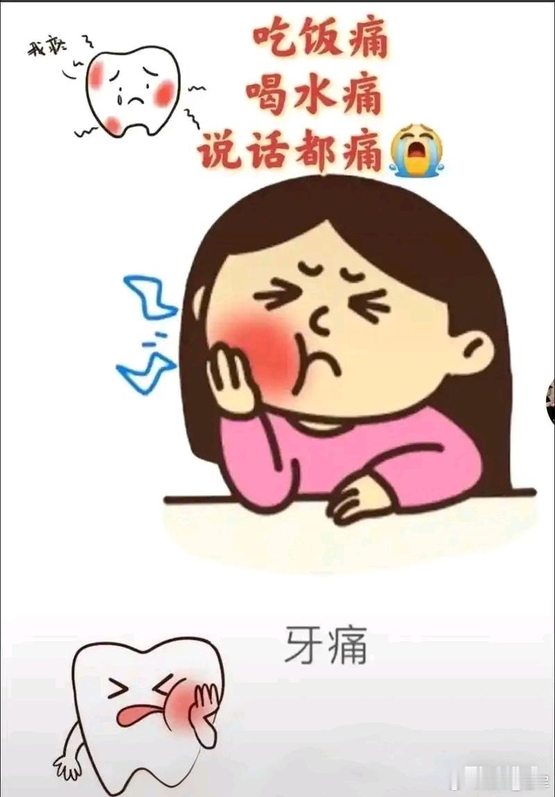 五倍子治牙痛：中医