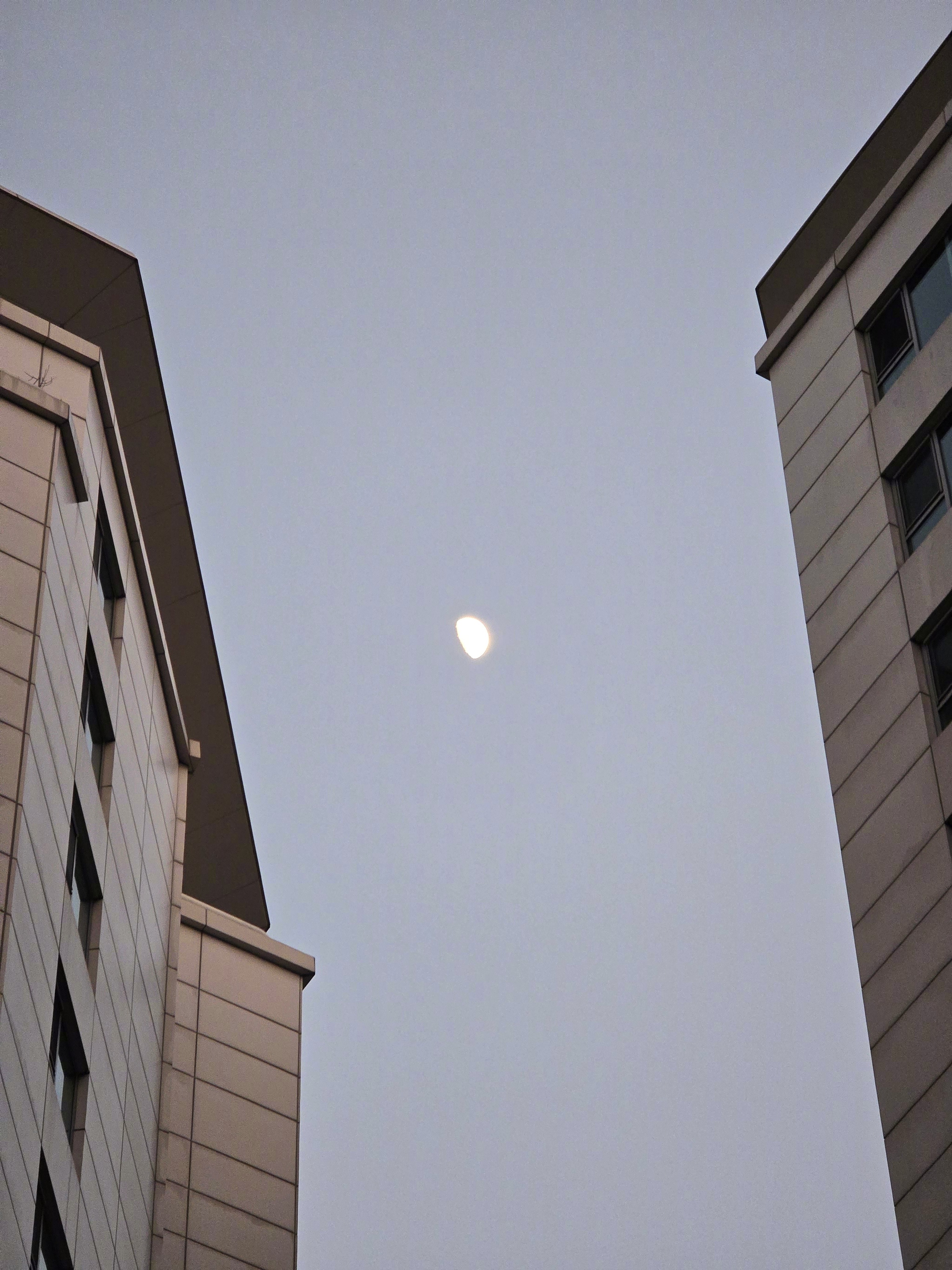 手机拍了个月亮，然后发给Gemini，让它处理个高清版本，于是……摄影又不存在