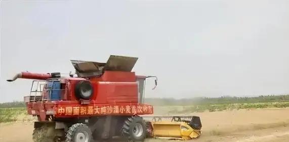 万万没想到，中国工程闹了个大“乌龙”，原本以为在沙漠种小麦产量会很低，不料一亩地