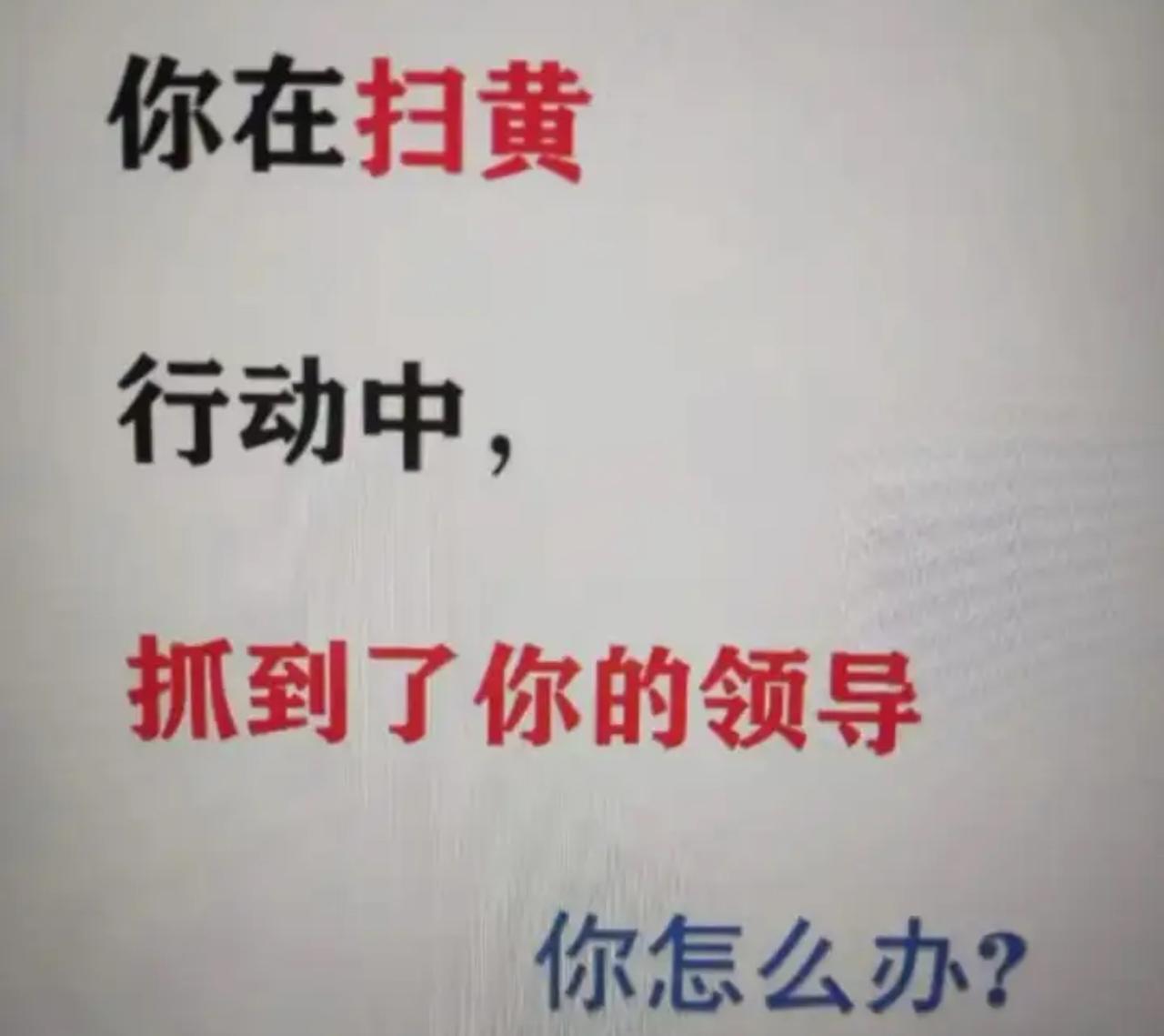 扫黄现场撞见领导，我当场把执法记录仪怼到他面前，语气比谁都硬：“领导，您这是带头