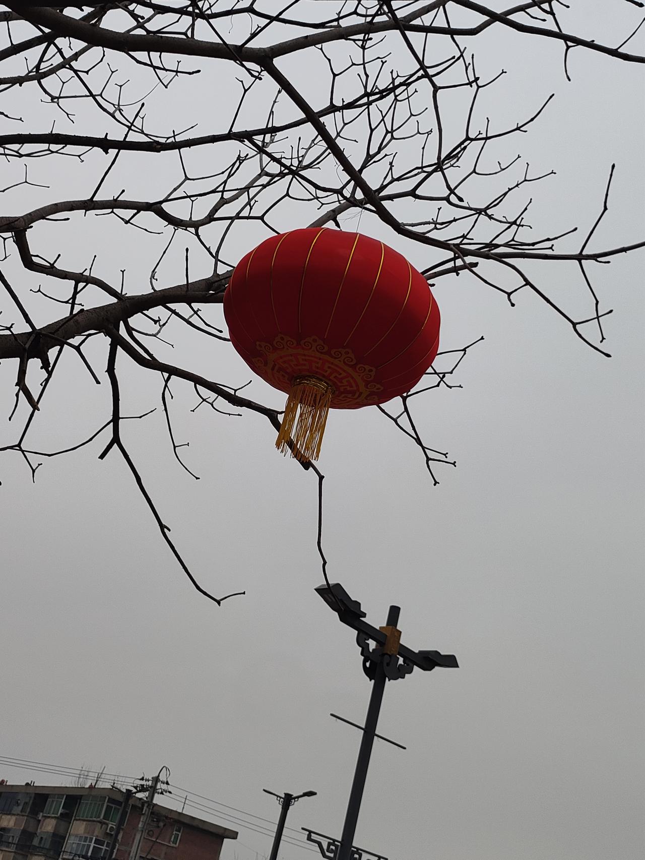 姐妹们，咱们这一路走来太不容易了。年轻时忙着照顾家里、操心孩子，大半辈子过去了，