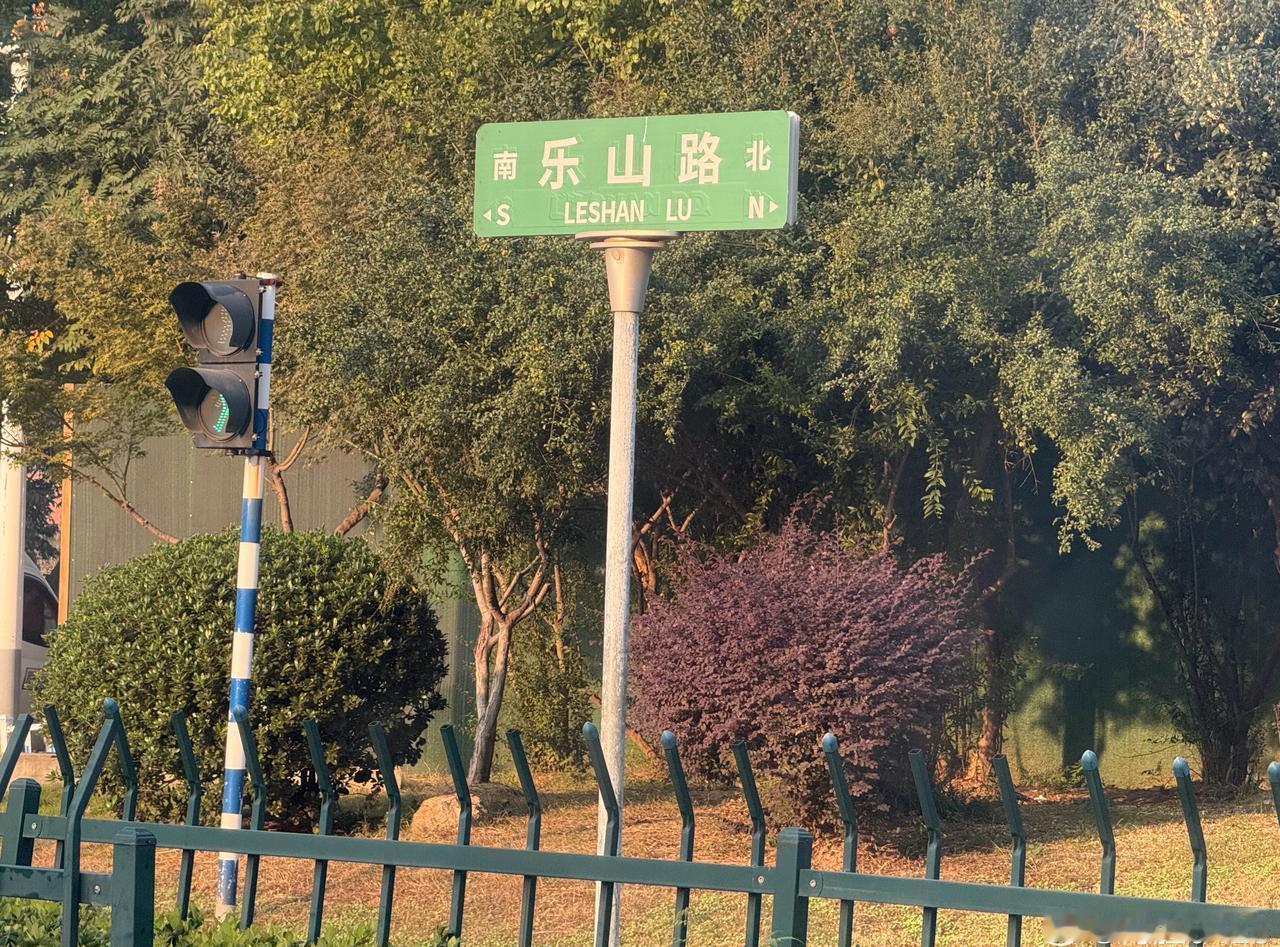 早起的人儿赶飞机✈️，南京居然有条乐山路，