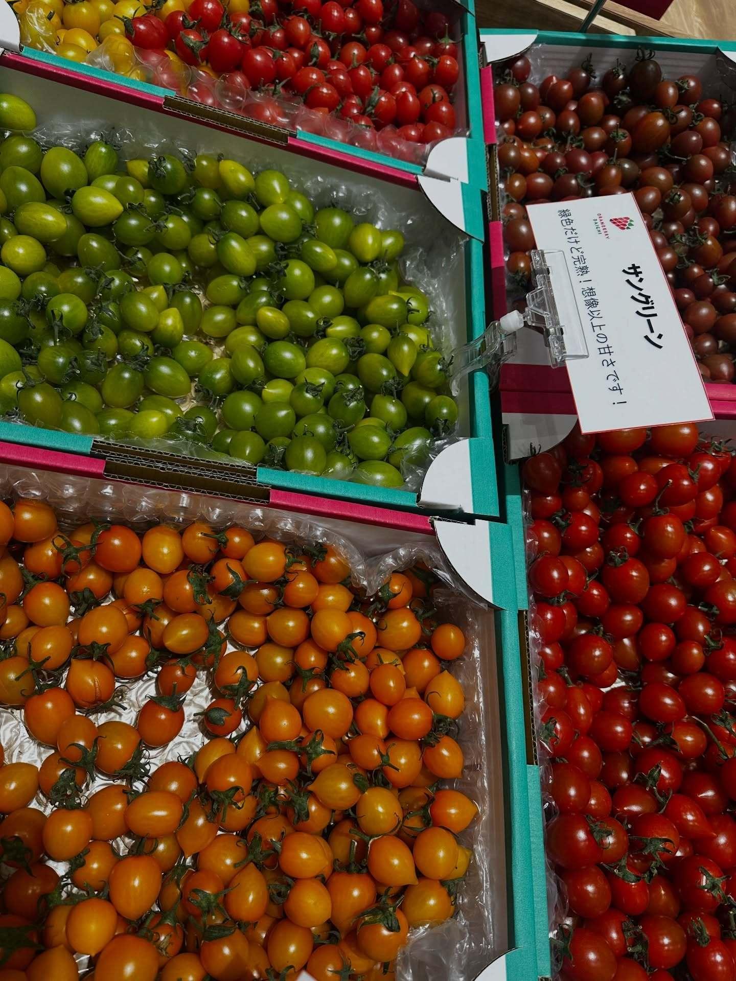 潮紗理菜🍀sarina8gram