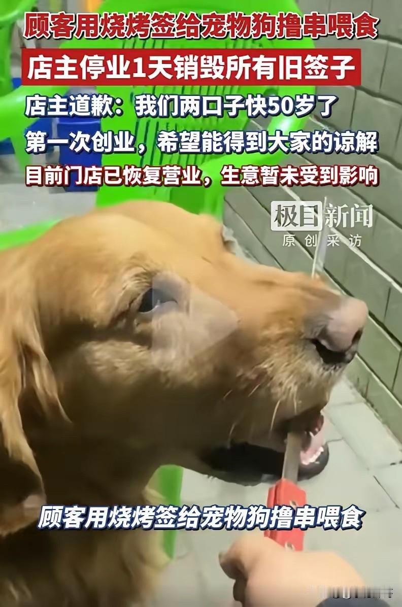太不道德！赤峰，女子带金毛到烧烤店吃烧烤，期间直接让狗用钎子撸串，事后还把视频发