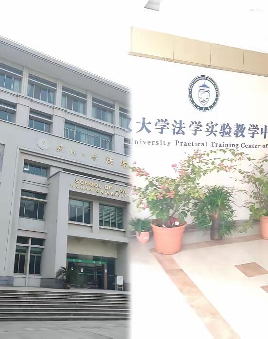 武大已经组建工作专班一武大的朋友刚私信我，悄悄透露了一个信息：朋友说几年前教