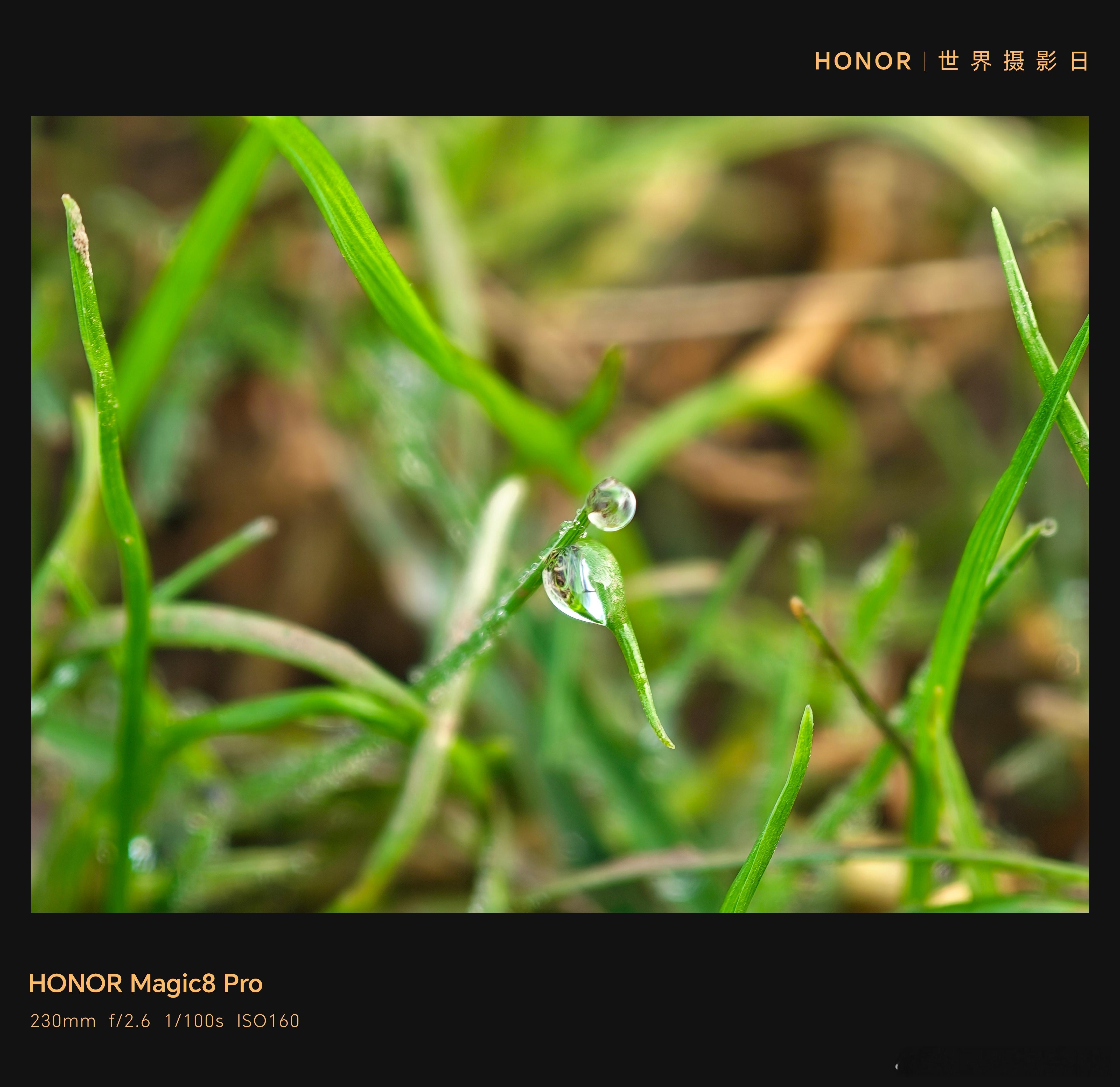 我不喜欢自拍的原因虽然我不喜欢自拍，但是我真的喜欢长焦拍摄细节！清晨的露珠，就是