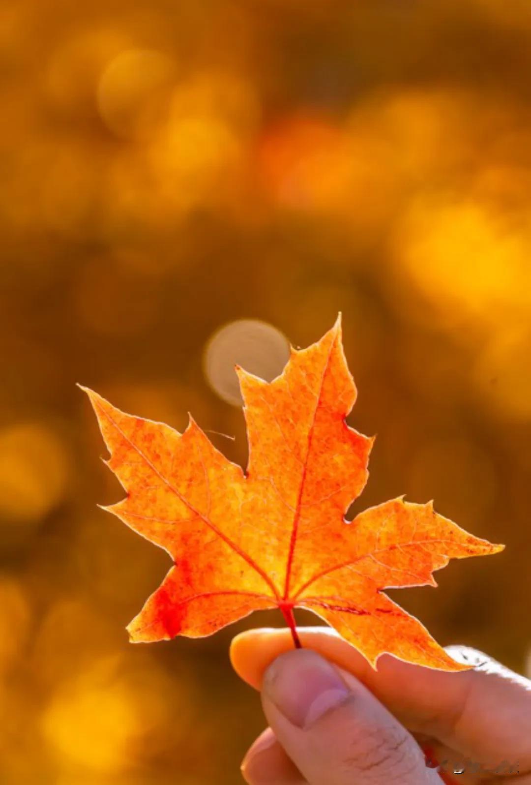 一个女护士说:“奉劝老年朋友,年龄到了八十岁左右的时候,最好是非必要不出门不社交