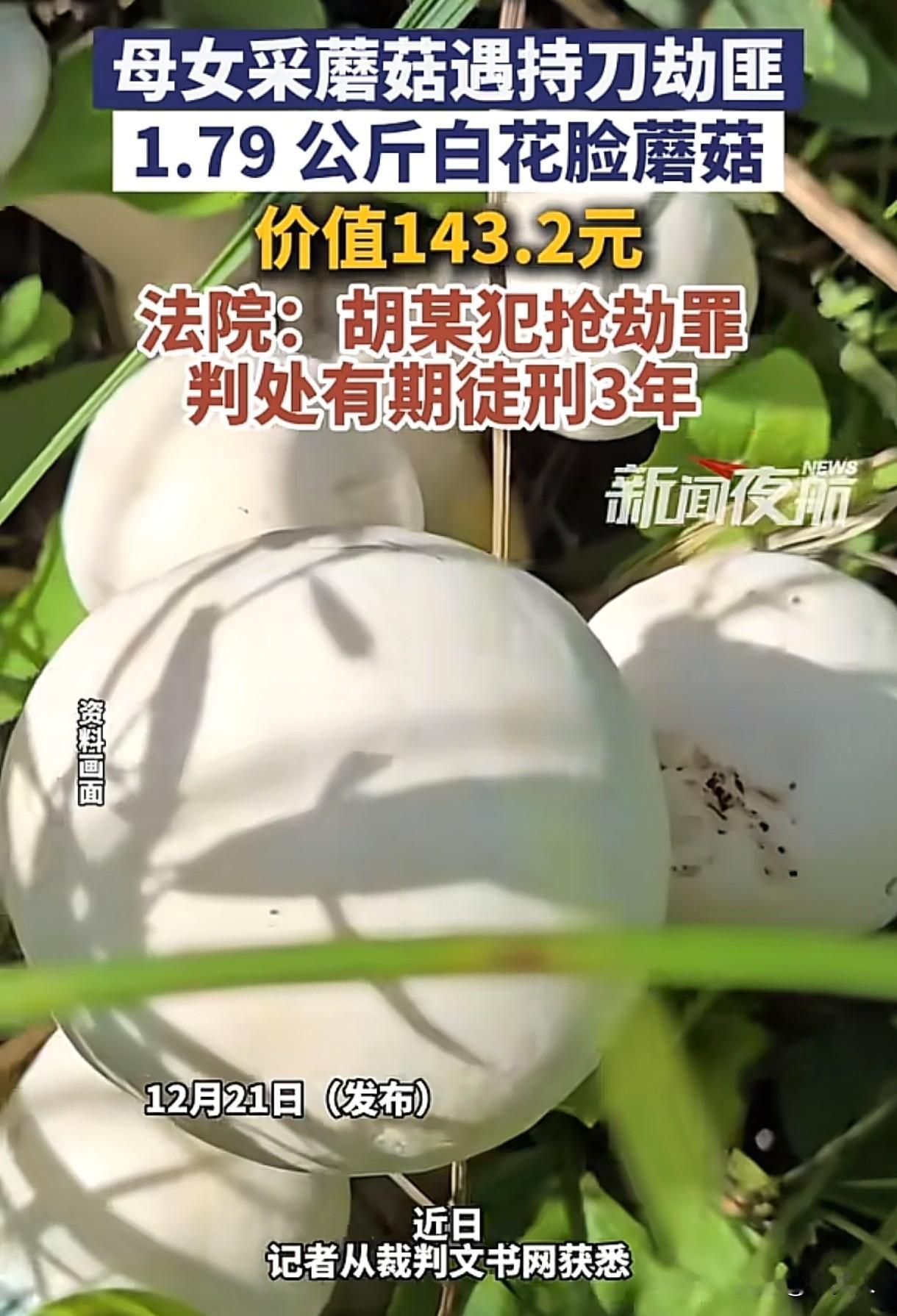 “一点都不冤！”内蒙古呼伦贝尔，男子看到母女二人在草场采了一些蘑菇，上前将蘑菇抢