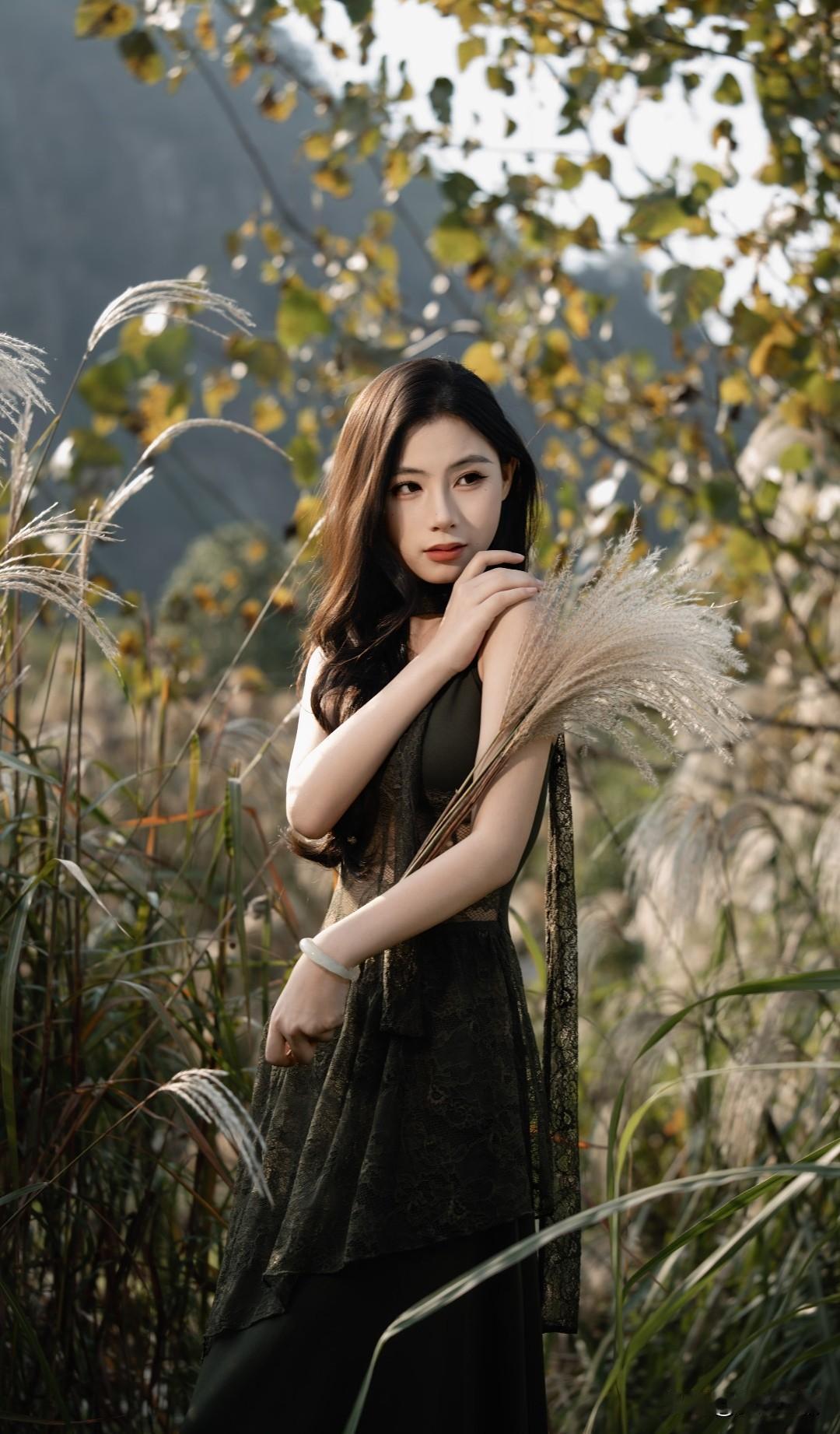 秋风起，芳草萋，美人倚，思无涯。