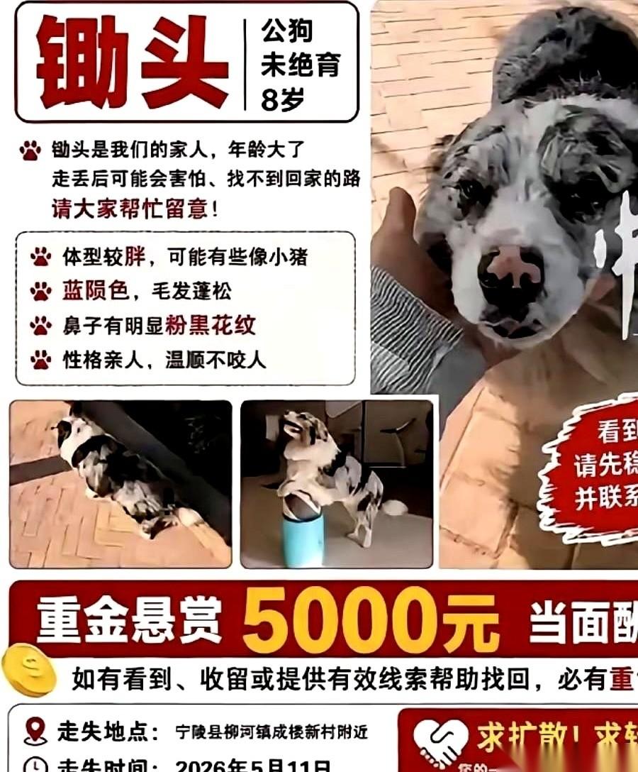 那个叫瘦猴的户外博主，他镜头里的世界，曾经有两个人是顶梁柱。一个是叫邓小微的姑娘