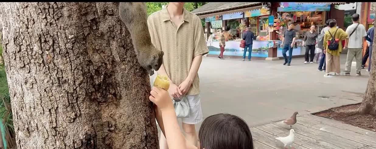 玉酱可能也有预感，杭州直播带货，是她直播带货生涯走到了“滑铁卢”。玉酱为了这
