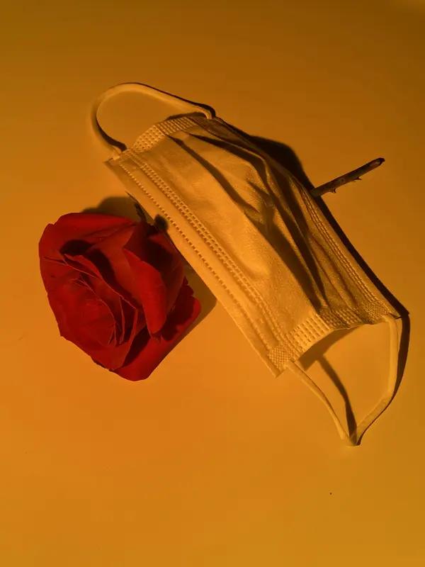 “熬最晚的夜，敷最贵的面膜？”别闹了！昨晚我刷到个中医段子，差点把手机摔脸上——