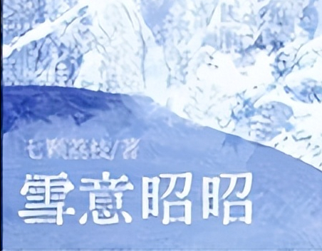 现代破镜重圆言情文——《雪意昭昭》