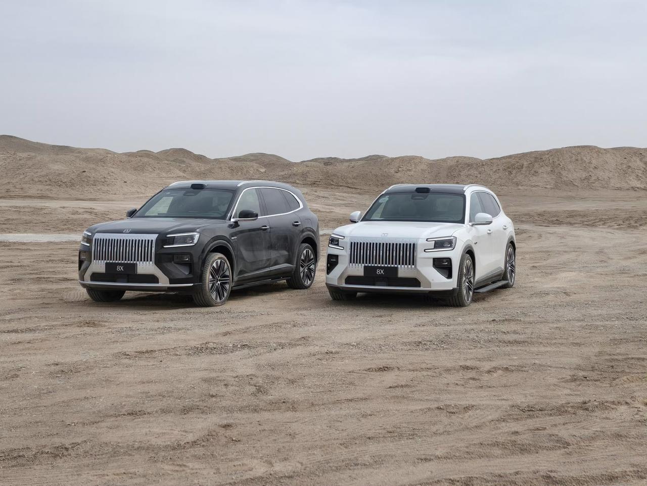 极氪8X还是黑色更霸气，白色在黑色车面前显得小鸟依人呢。不能上野外的车不能称之