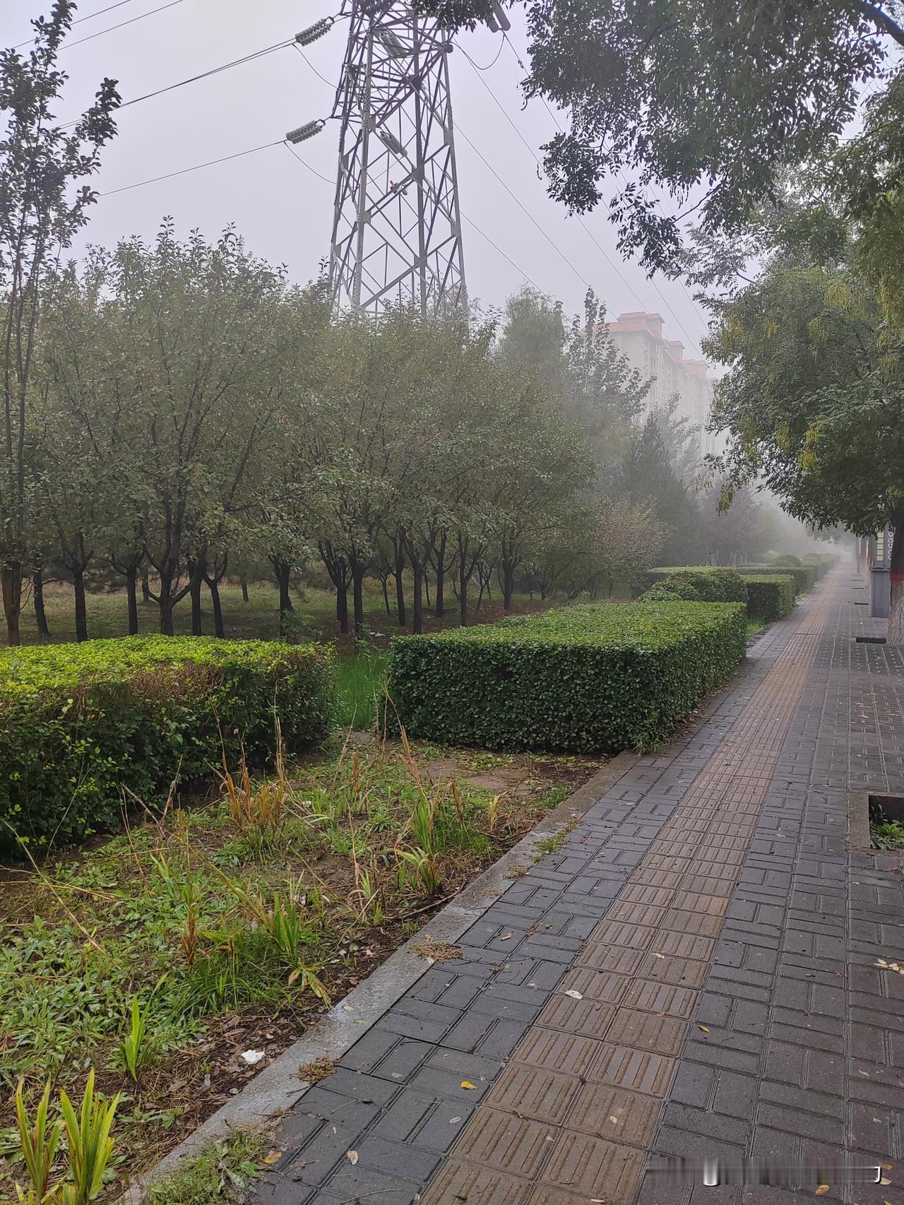 如果让我再选择一次，一定选择不结婚，或者婚后只要一个孩子。二胎宝妈真的太不容