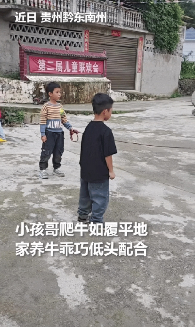 “太通人性了！”贵州，小孩牵着一头家养的牛准备回家，不料被一个身穿黑色上衣的男孩