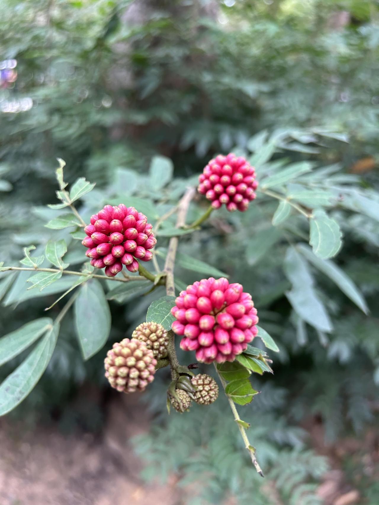 发现了吗？​‎͏ 别人不把你当回事，是你从来没把自己当回事！在和人相处