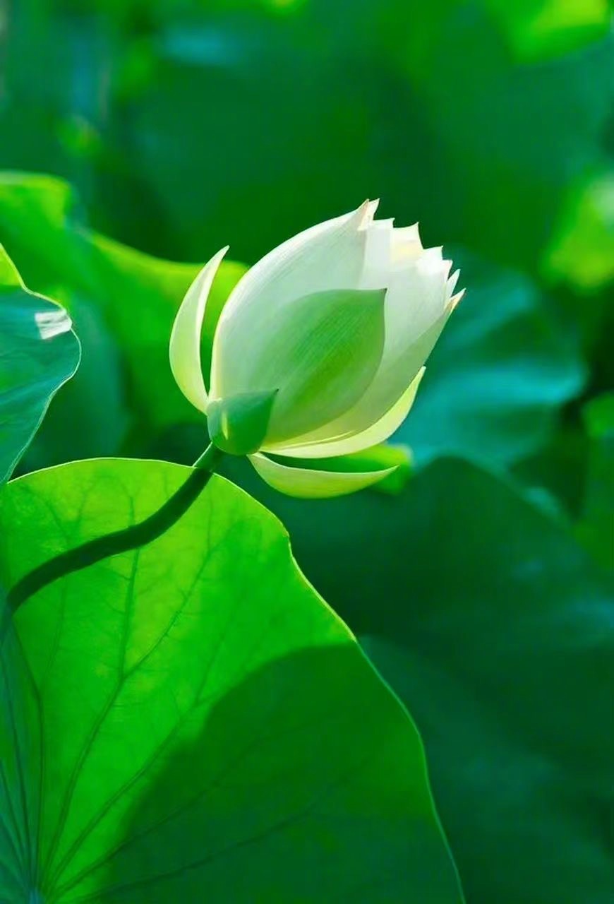 【分享干净】1、一个人活得干干净净的，做什么事情都觉得起劲。原来有趣的事情，就是