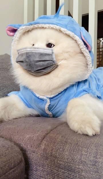 口罩是遮不住我的帅气……和大脸盘子的