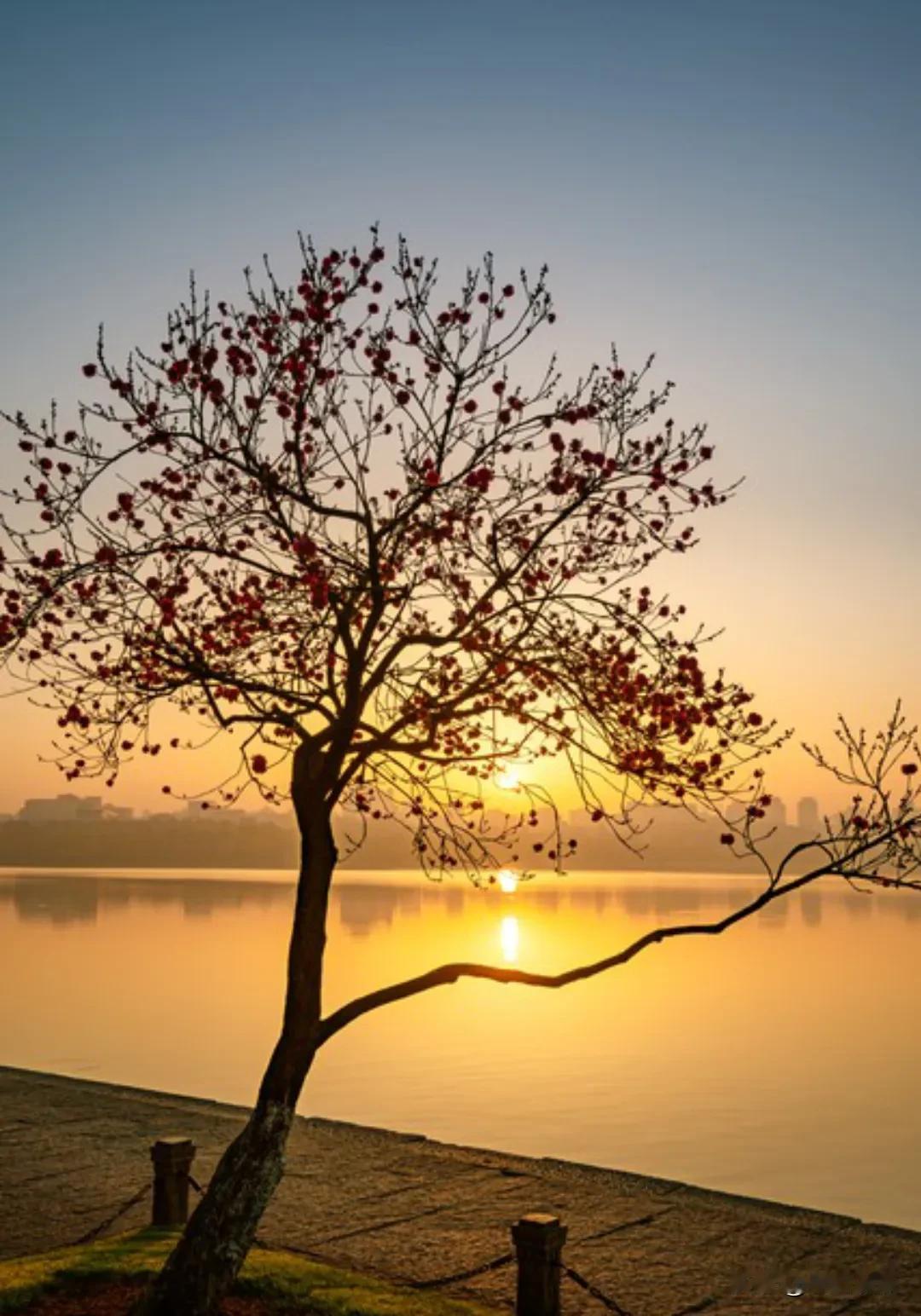 很认同的一段话:“一定要懂得自愈，因为好起来的从来不是生活，而是你自己，不在烂