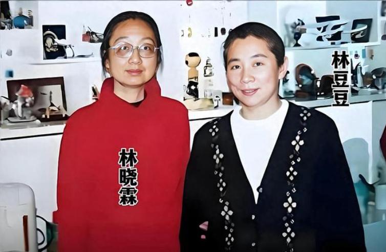 林晓霖：她是林豆豆同父异母的姐姐，婚姻是继母包办的，一生坎坷。 林晓霖的母亲