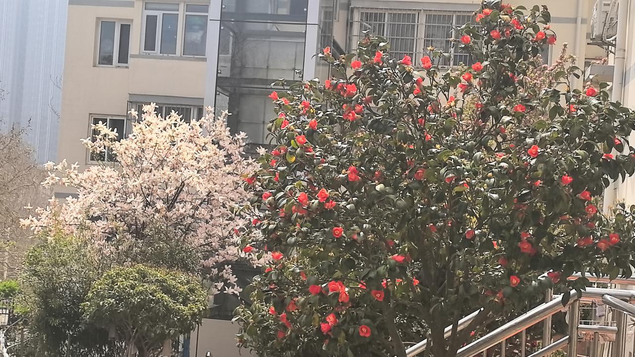 善良的5个特质性格心理学研究表明，具有这五个特征的人往往是真正善良的人，而这