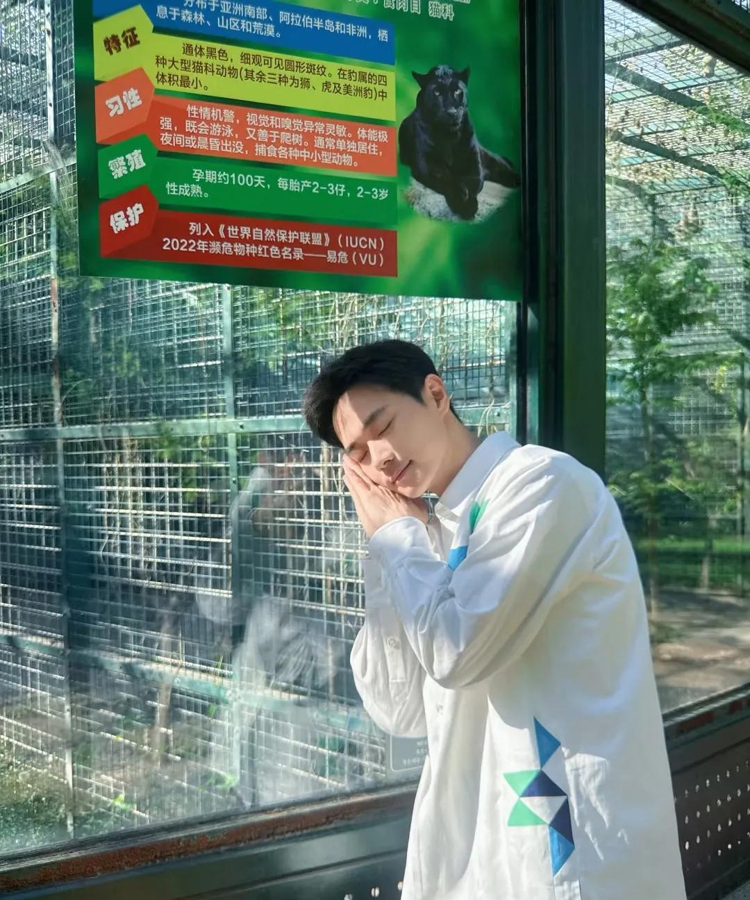 天啦！他居然都37岁了，曾经比释小龙还红，还可爱的小和尚、小童星，虽然如今已经3